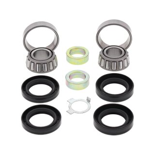 Swing Arm Bearing Kit