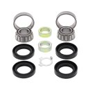 Swing Arm Bearing Kit