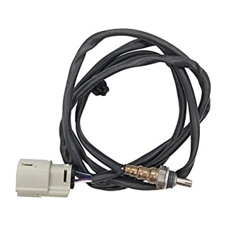 Oxigen O2 Replacement Sensor OEM# 32700083
