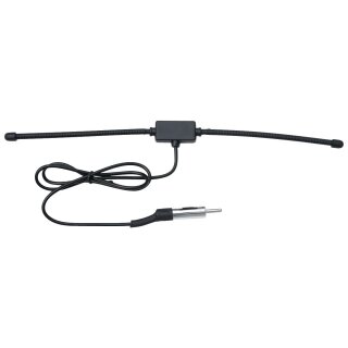 Touring Hidden Antenna