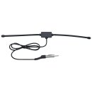 Touring Hidden Antenna