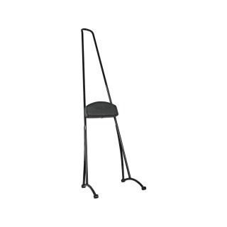 Stupid Tall Sissy Bar with Pad Gloss Black Powder Coated