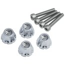 Decorative Windshield Screws