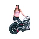 Sportster Cafe Racer Tail
