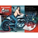 Sportster Cafe Racer Tail