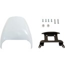 Sportster S Headlamp Fairing Black Raw Fibre Glass