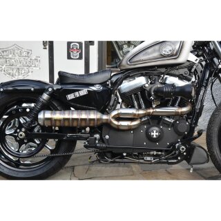 Bomb V2 Tattoo Exhaust System , Raw Smooth Heat Shield, Polished Adjustable High End Cap, 4" Outline