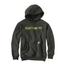 Carhartt Rain Defender logo hoodie peat
