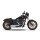 *2 WEEKS EXTRA TRANSIT TIME* KessTech, 2in2 3" Shotgun-Low exhaust ESM3. Chrome
