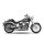 *2 WEEKS EXTRA TRANSIT TIME* KessTech, 2in2 3" Shotgun-Short exhaust ESM3. Polished SS