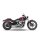 *2 WEEKS EXTRA TRANSIT TIME* KessTech, 2in2 3" Shotgun-Low exhaust ESM3. Polished SS
