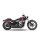 *2 WEEKS EXTRA TRANSIT TIME* KessTech, 2in2 3" Shotgun-Low exhaust ESM3. Black matt