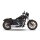 *2 WEEKS EXTRA TRANSIT TIME* KessTech, 2in2 3" Shotgun-Low exhaust ESM3. Polished SS