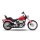 *2 WEEKS EXTRA TRANSIT TIME* KessTech, 2in2 3" Low slip-ons ESM2. Black matt