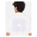 Dickies Oatfield t-shirt cloud