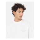 Dickies Oatfield t-shirt cloud