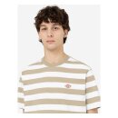 Dickies Rivergrove t-shirt khaki