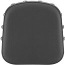 PAD SISSYBAR RENEGADE