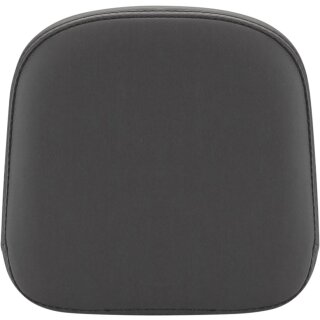 PAD SISSYBAR RENEGADE