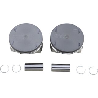 PISTONS 107 .005 M8