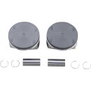 PISTONS 107 .005 M8