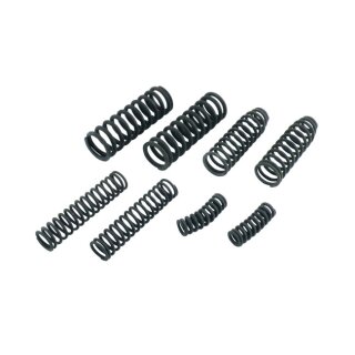 FORK SPRING SET OUTER/INNER 8 PC, WL