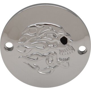 COVER PNTS CHR FLM SKL XL
