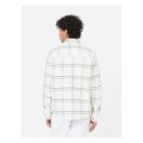 Dickies Warrenton shirt cloud