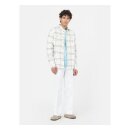 Dickies Warrenton shirt cloud
