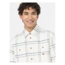 Dickies Warrenton shirt cloud