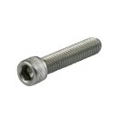 1/2-13 X 1 3/4 INCH ALLEN BOLT STAINLESS