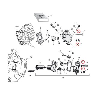 CHROME LOCKWASHER, 1/4 INCH
