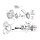 CHROME LOCKWASHER, 1/4 INCH