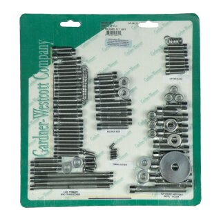 GW MOTOR SCREW SET