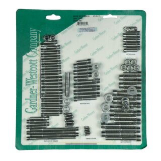 GW MOTOR SCREW SET, POLISHED SS ALLEN