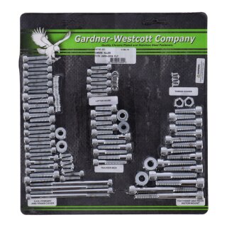 GW MOTOR SCREW SET, CHROME ALLEN
