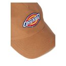 Dickies Sumiton trucker cap brown duck