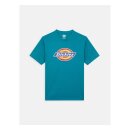 Dickies Icon logo t-shirt deep lake