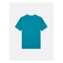 Dickies Icon logo t-shirt deep lake