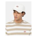 Dickies Hardwick cap cloud