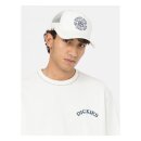 Dickies Beavertown trucker cap cloud