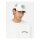 Dickies Beavertown trucker cap cloud