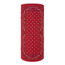 ZANheadgear Motley Tube polyester red paisley