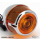 10pck screw, turn signal lens