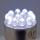 GZP SINGLE CLSTR 12XLED BULB WHITE BA15S