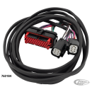 Rear speaker control wire harness 11-13