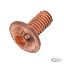 Copper flanged sckt button hd scrw M6x12