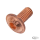 Copper flanged sckt button hd scrw M6x12