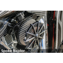 A/C SPOKE bicolor F*ST93-15 + FXD99-17 F