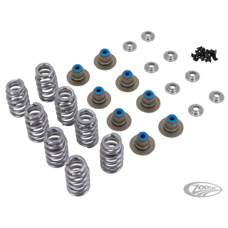Star Racing 640 ME17-UP spring kit